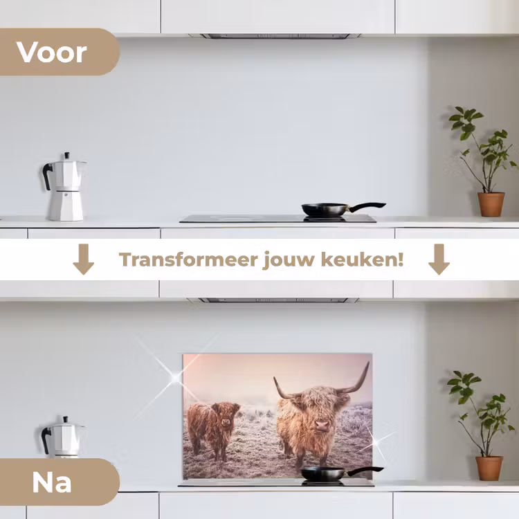 Spatscherm keuken - Schotse Hooglanders - Sneeuw - Zon — 3