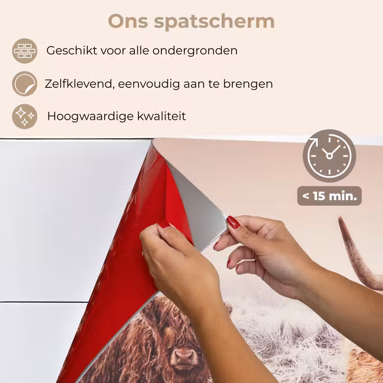 Spatscherm keuken - Schotse Hooglanders - Sneeuw - Zon — 4