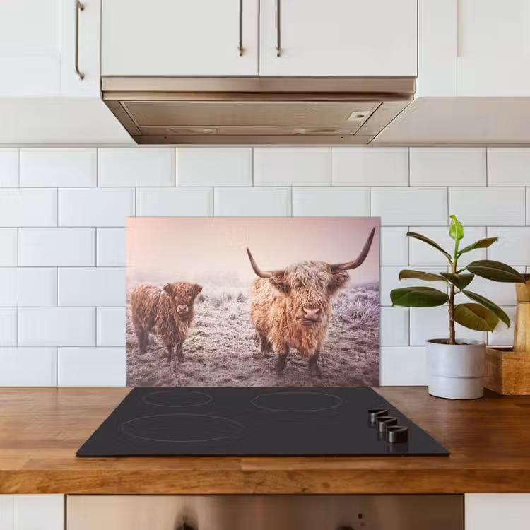 Spatscherm keuken - Schotse Hooglanders - Sneeuw - Zon — 6