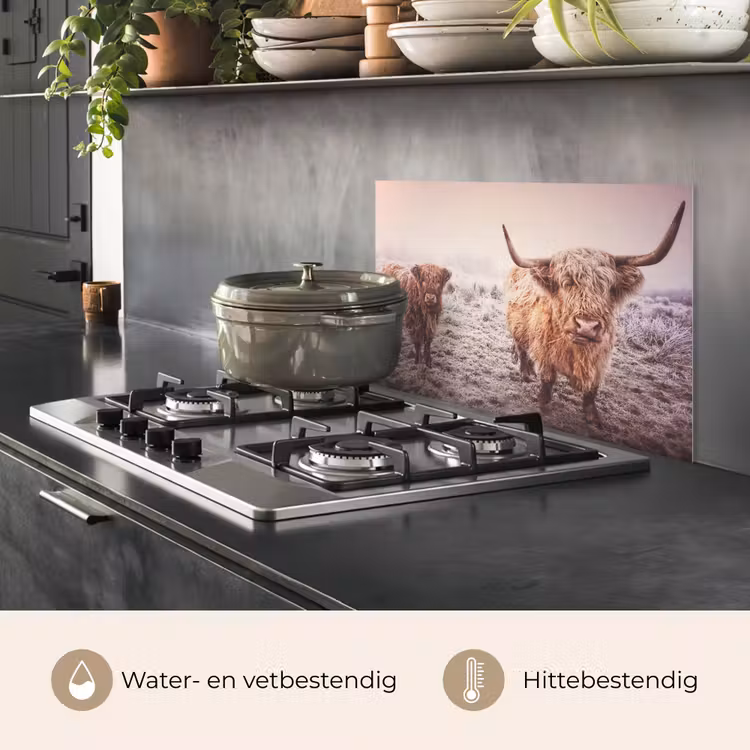 Spatscherm keuken - Schotse Hooglanders - Sneeuw - Zon — 7