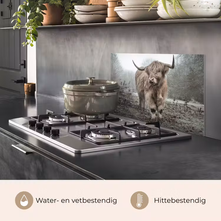 Spatscherm keuken - Schotse Hooglander - Bos - Mist - Koe - Dieren - Natuur — 7