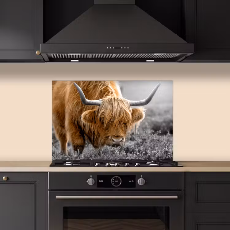 Spatscherm keuken - Schotse Hooglander - Dieren - Bruin - Koe - Zwart - Wit - Natuur — 2