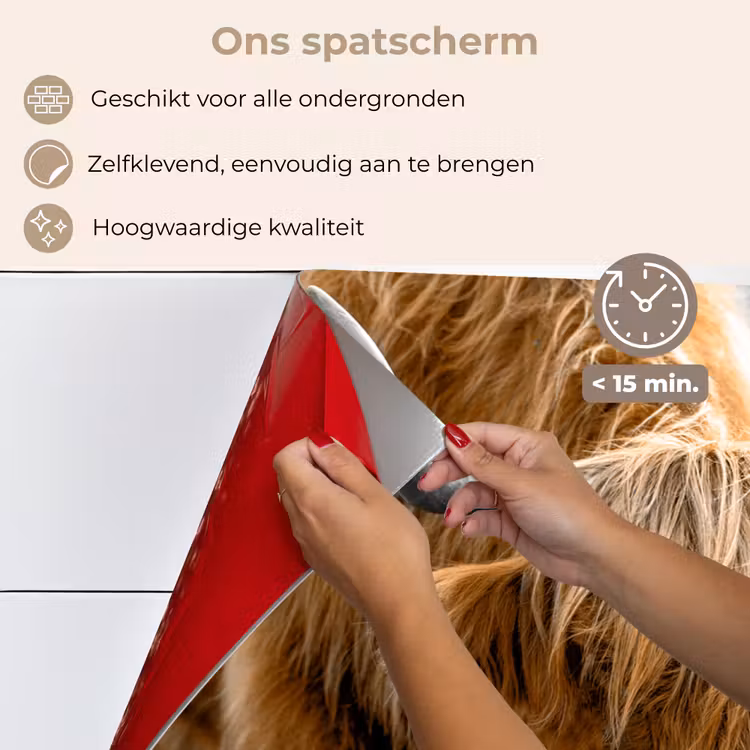 Spatscherm keuken - Schotse Hooglander - Dieren - Bruin - Koe - Zwart - Wit - Natuur — 4