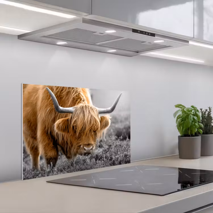 Spatscherm keuken - Schotse Hooglander - Dieren - Bruin - Koe - Zwart - Wit - Natuur — 5