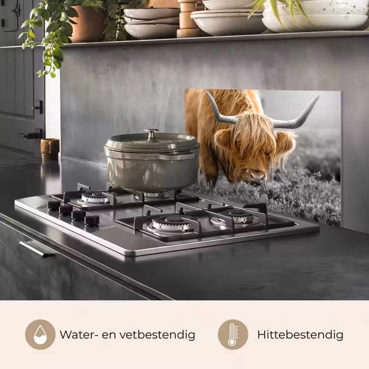 Spatscherm keuken - Schotse Hooglander - Dieren - Bruin - Koe - Zwart - Wit - Natuur — 7
