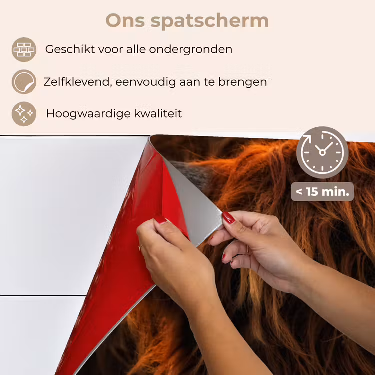 Spatscherm keuken - Schotse Hooglander - Koe - Zwart - Portret — 4