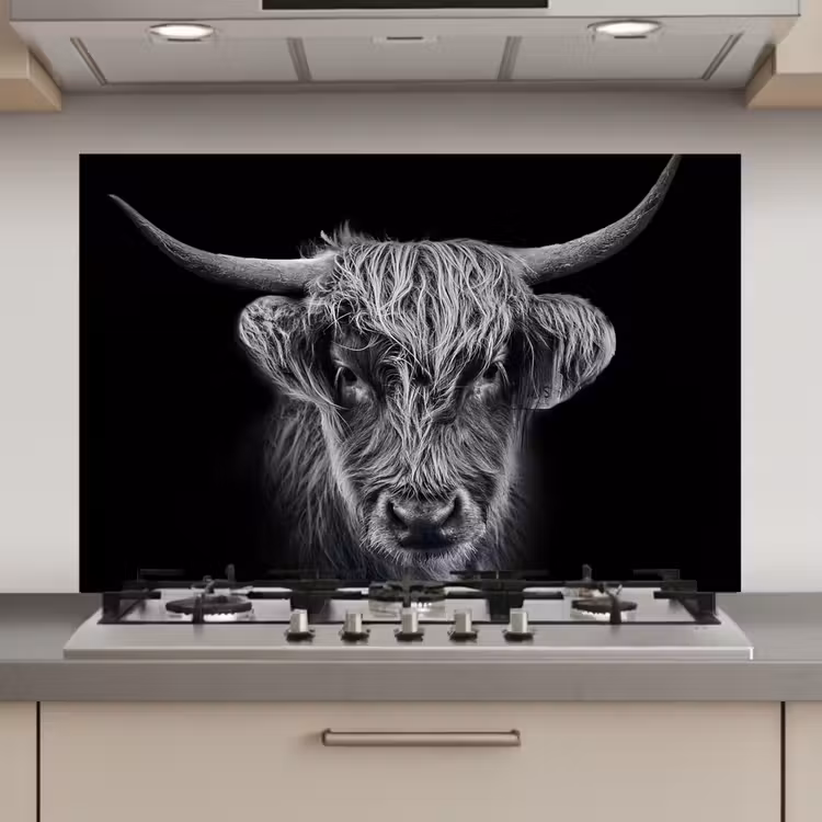 Spatscherm keuken - Schotse hooglander - Zwart - Koe - Dieren — 1