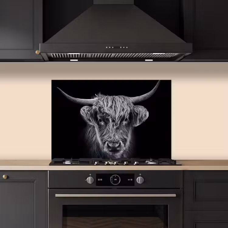 Spatscherm keuken - Schotse hooglander - Zwart - Koe - Dieren — 2