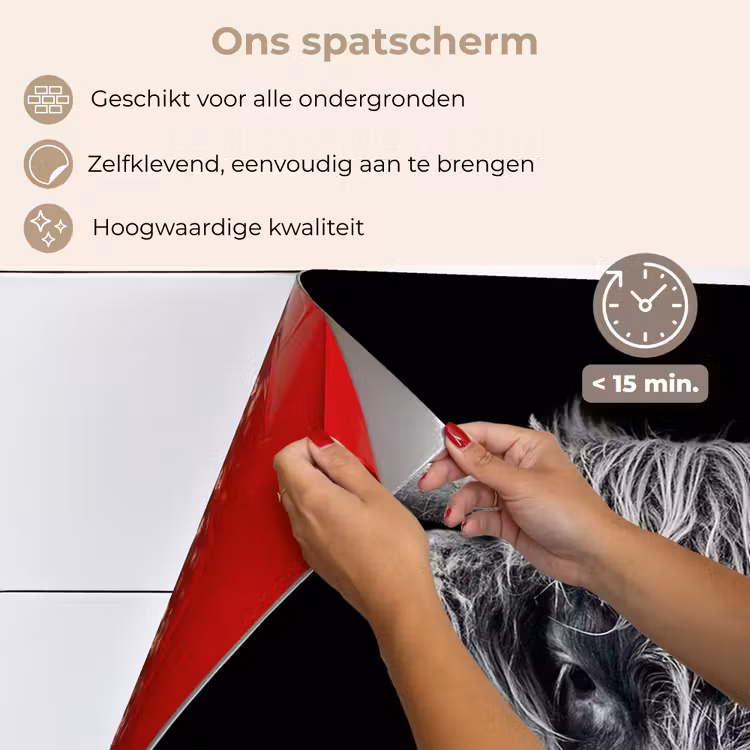 Spatscherm keuken - Schotse hooglander - Zwart - Koe - Dieren — 4