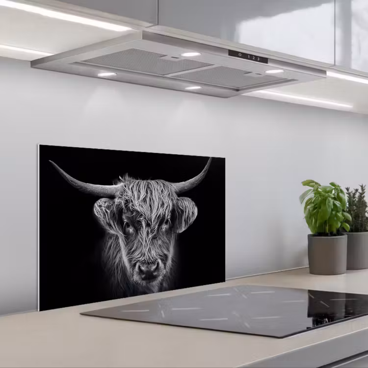 Spatscherm keuken - Schotse hooglander - Zwart - Koe - Dieren — 5
