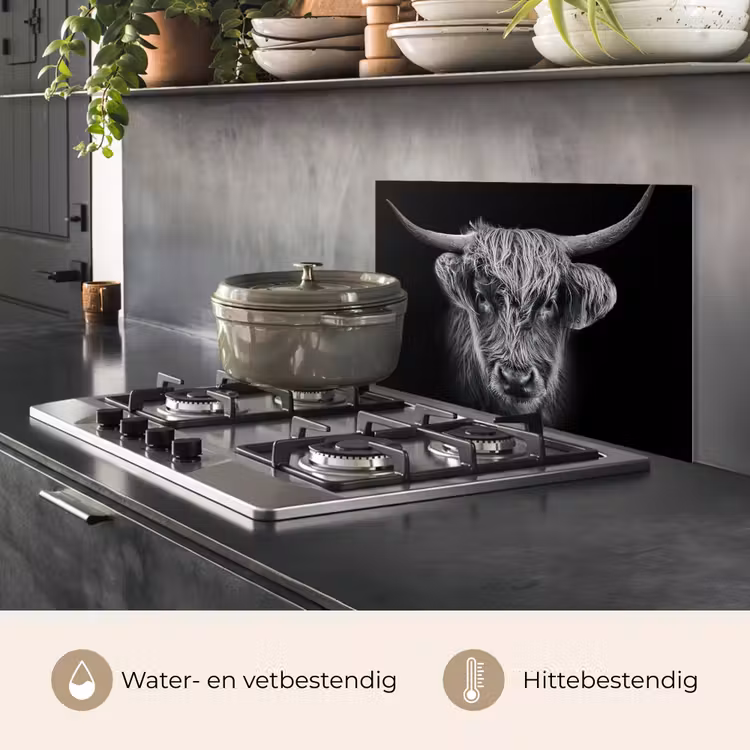 Spatscherm keuken - Schotse hooglander - Zwart - Koe - Dieren — 7