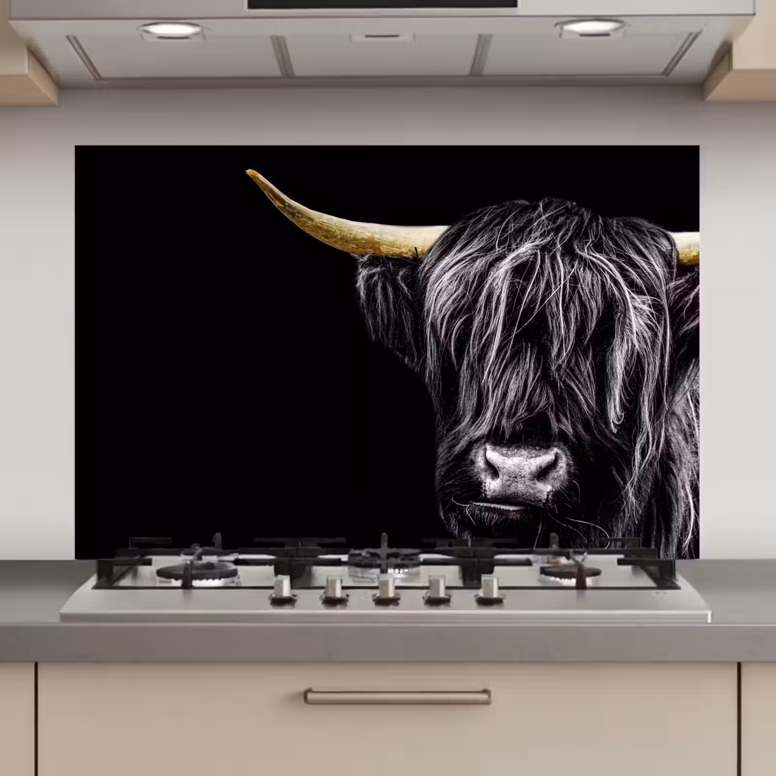 Spatscherm keuken - Schotse hooglander - Goud - Vacht - Dieren - Koe — 1