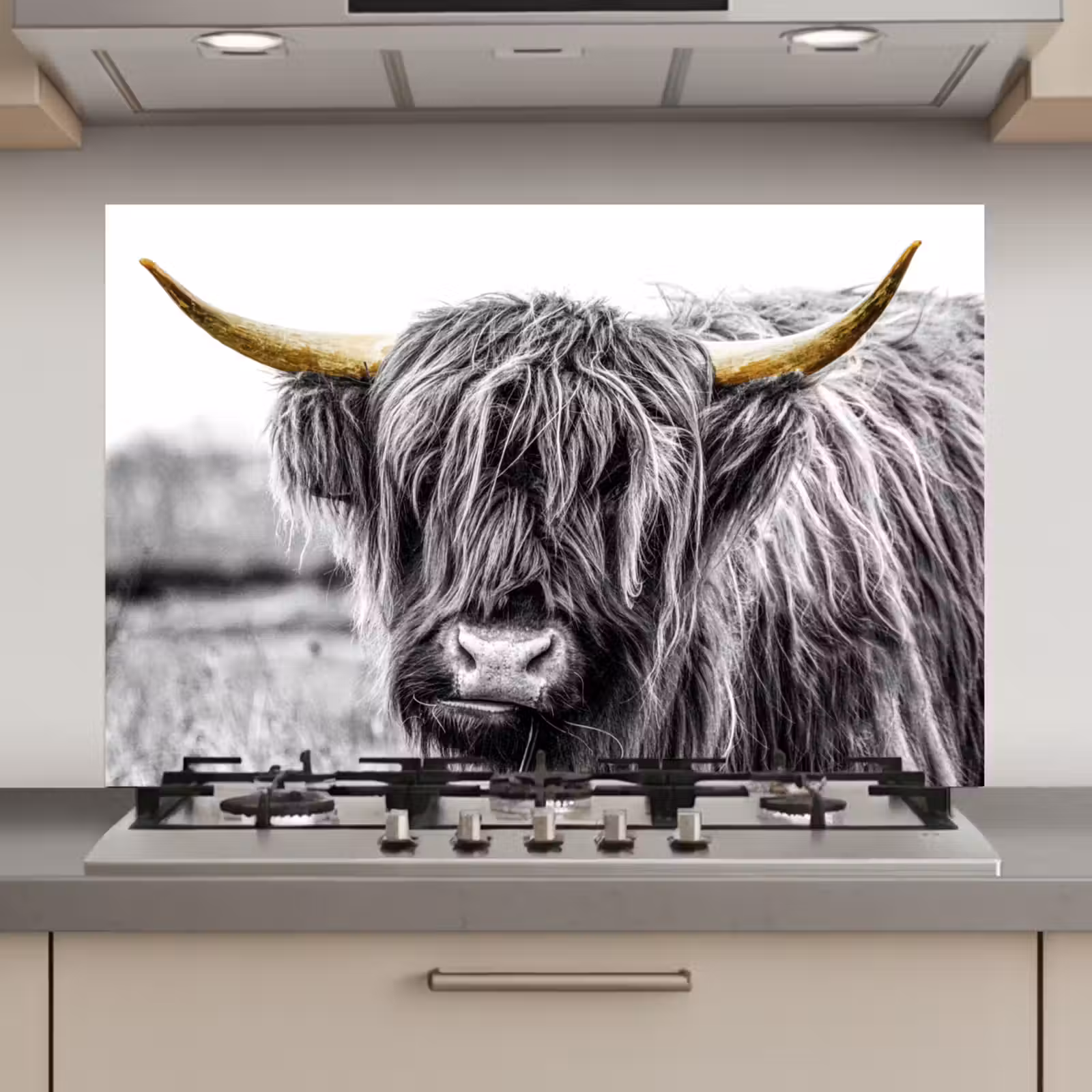 Spatscherm keuken - Schotse hooglander - Hoorns - Goud - Zwart — 1