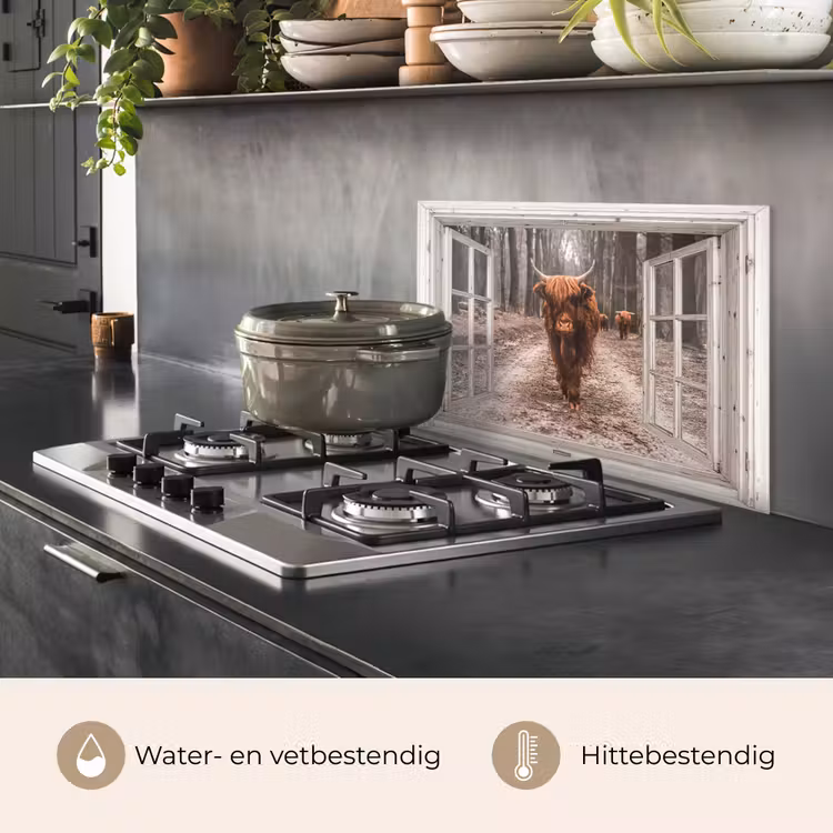 Spatscherm keuken - Doorkijk - Schotse Hooglander - Raam — 7