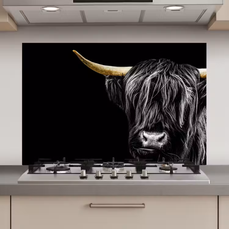 Spatscherm keuken - Schotse hooglander - Goud - Vacht - Dieren - Koe — 1