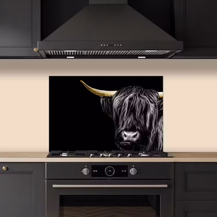 Spatscherm keuken - Schotse hooglander - Goud - Vacht - Dieren - Koe — 2