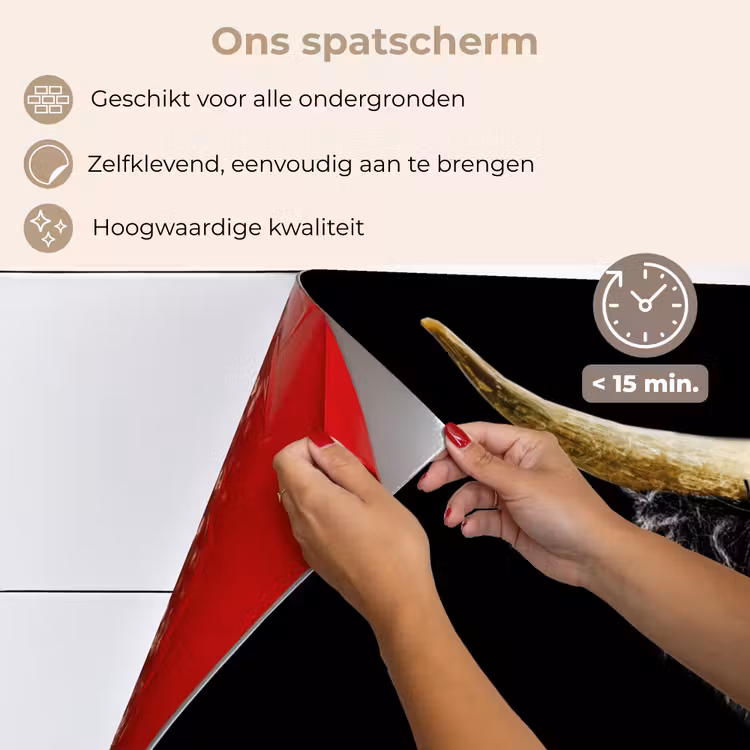 Spatscherm keuken - Schotse hooglander - Goud - Vacht - Dieren - Koe — 4