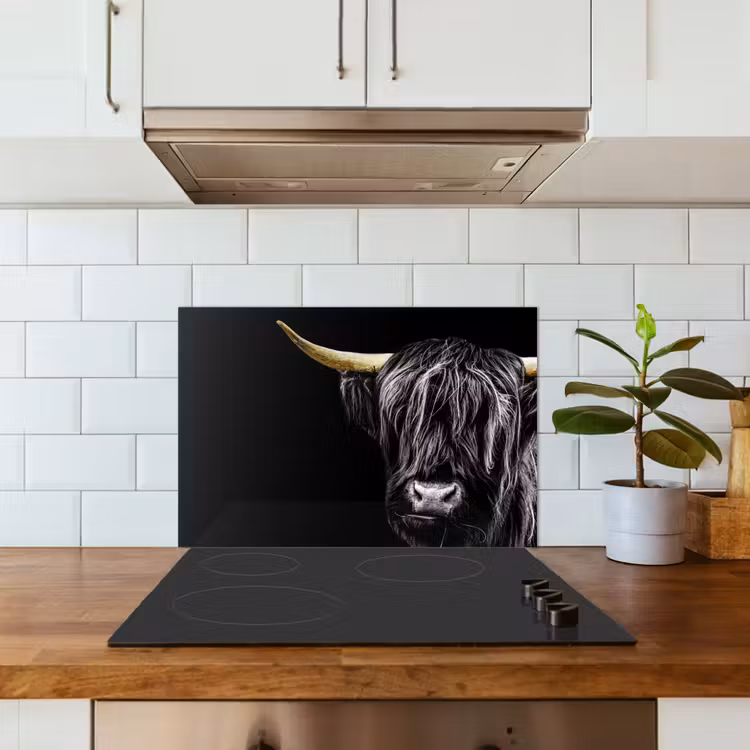 Spatscherm keuken - Schotse hooglander - Goud - Vacht - Dieren - Koe — 6