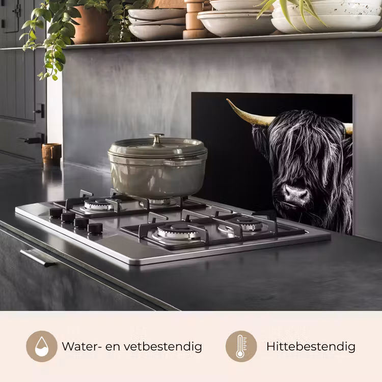 Spatscherm keuken - Schotse hooglander - Goud - Vacht - Dieren - Koe — 7