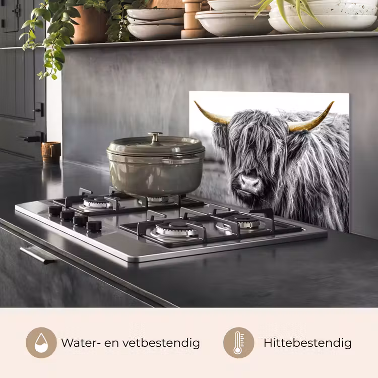 Spatscherm keuken - Schotse hooglander - Hoorns - Goud - Zwart — 7
