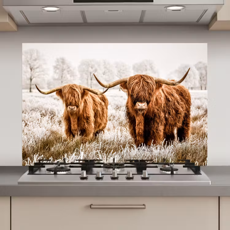Spatscherm keuken - Schotse hooglander - Koe - Natuur - Winter — 1