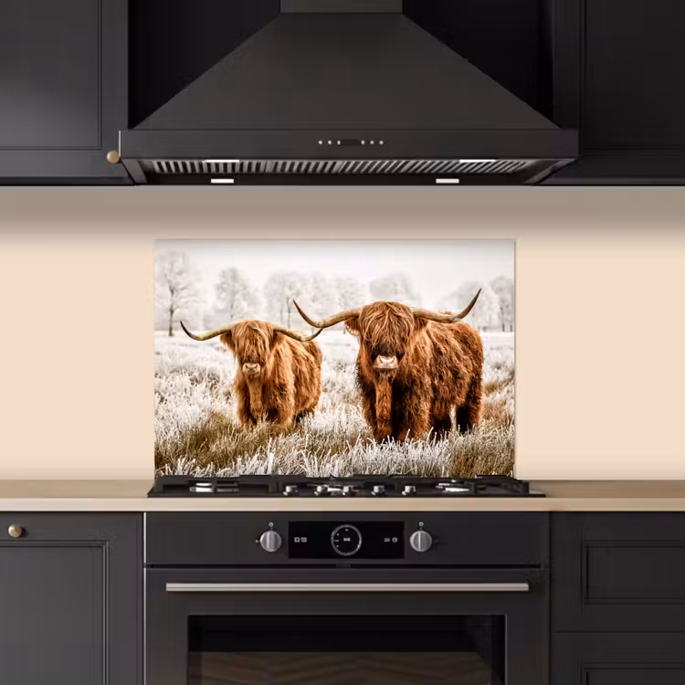Spatscherm keuken - Schotse hooglander - Koe - Natuur - Winter — 2
