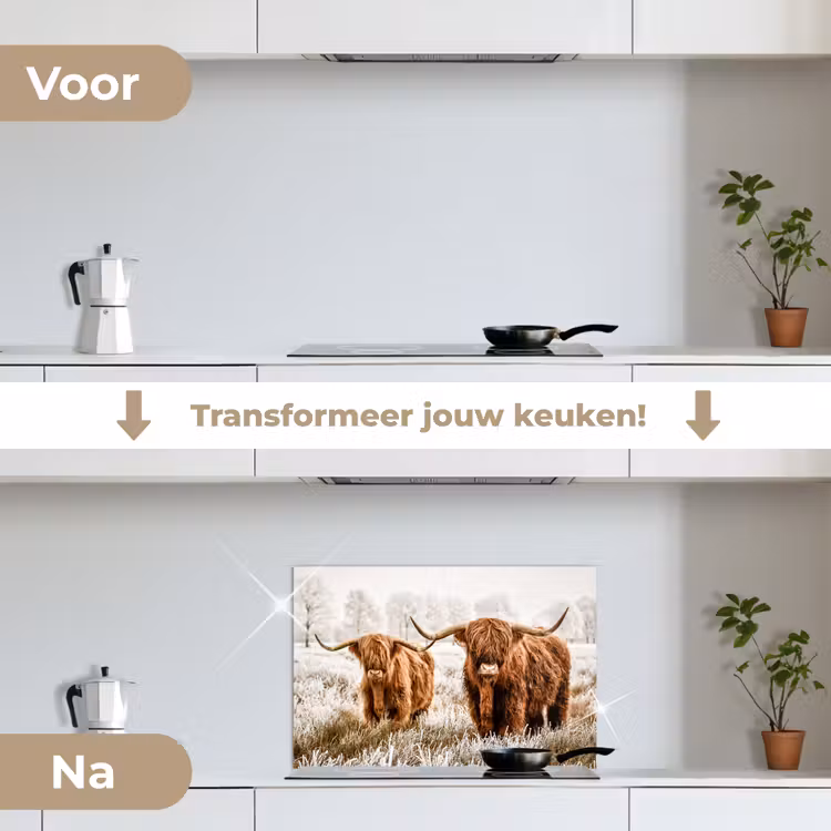 Spatscherm keuken - Schotse hooglander - Koe - Natuur - Winter — 3