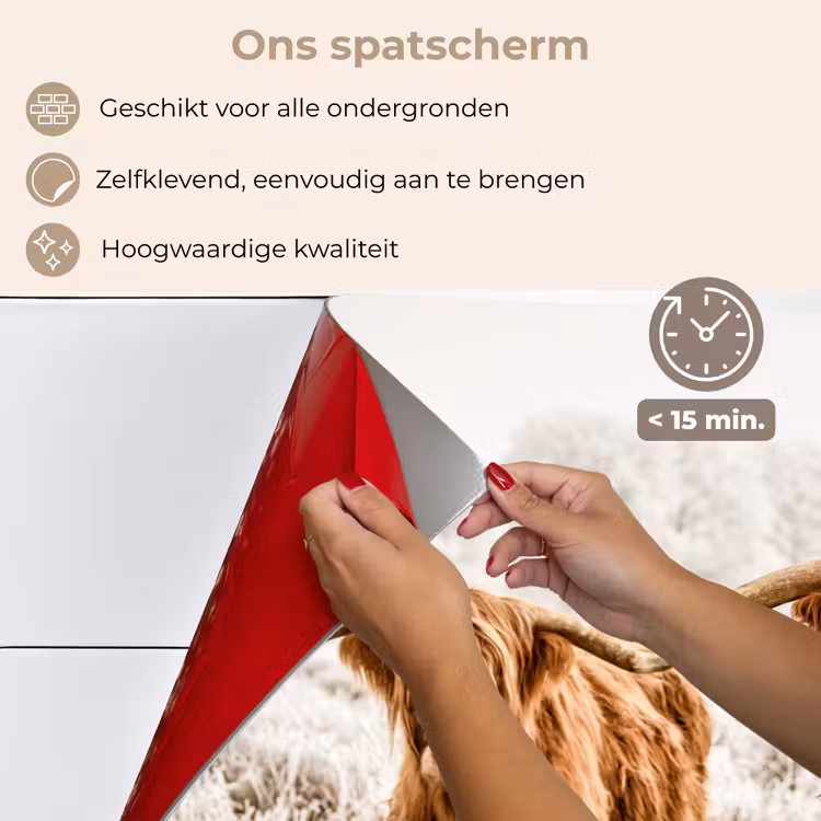 Spatscherm keuken - Schotse hooglander - Koe - Natuur - Winter — 4