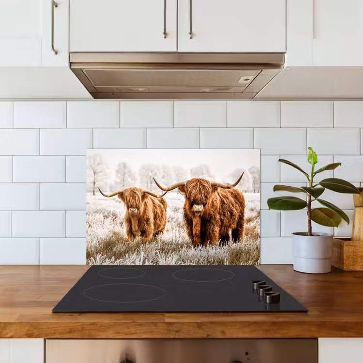 Spatscherm keuken - Schotse hooglander - Koe - Natuur - Winter — 6