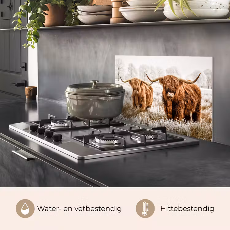 Spatscherm keuken - Schotse hooglander - Koe - Natuur - Winter — 7