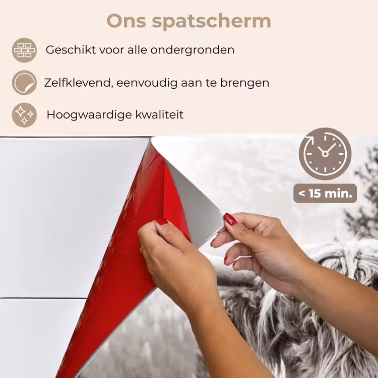 Spatscherm keuken - Schotse hooglander - Koe - Dieren - Zwart - Wit — 4