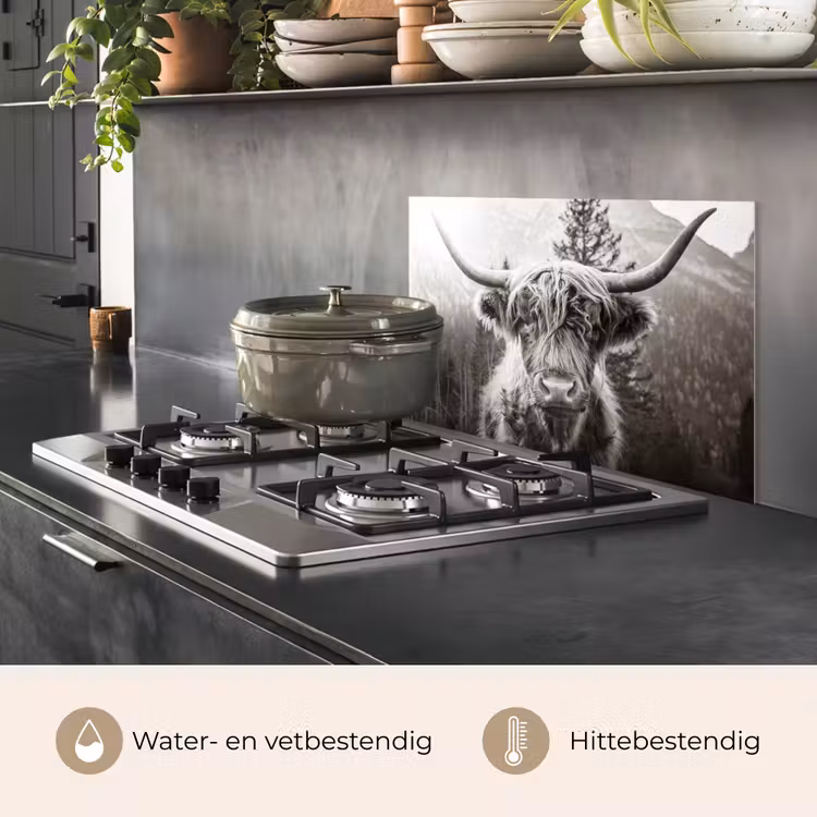 Spatscherm keuken - Schotse hooglander - Koe - Dieren - Zwart - Wit — 7