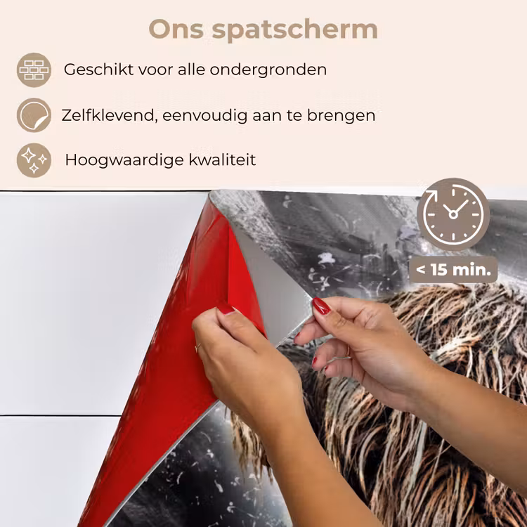 Spatscherm keuken - Schotse hooglander - Verf - Koe — 4