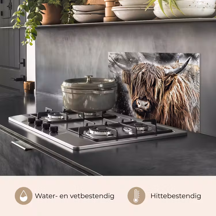 Spatscherm keuken - Schotse hooglander - Verf - Koe — 7