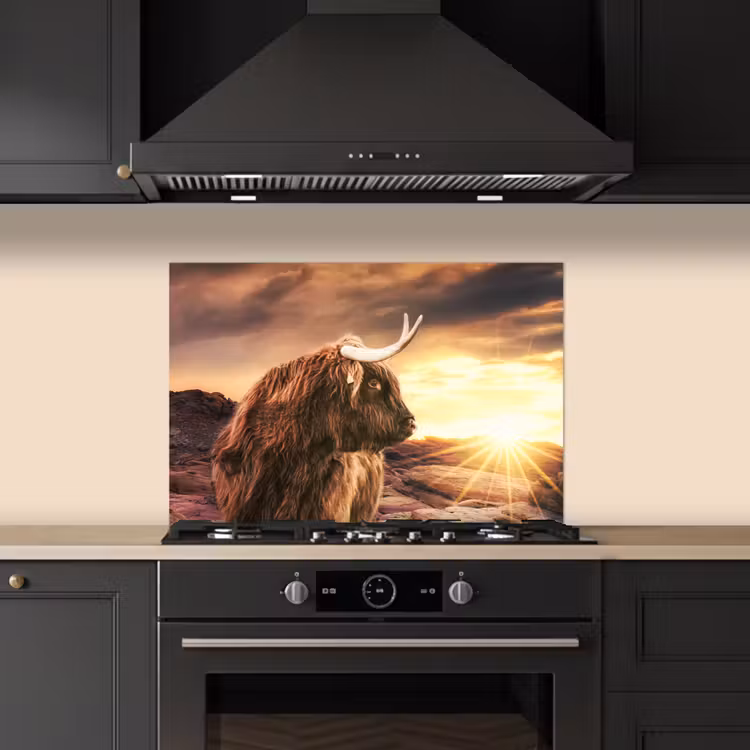 Spatscherm keuken - Schotse hooglander - Zon - Horizon - Koe - Dieren — 2