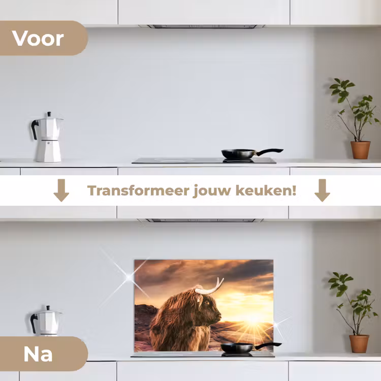 Spatscherm keuken - Schotse hooglander - Zon - Horizon - Koe - Dieren — 3
