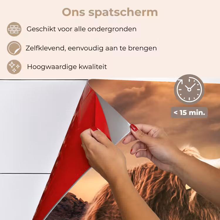 Spatscherm keuken - Schotse hooglander - Zon - Horizon - Koe - Dieren — 4