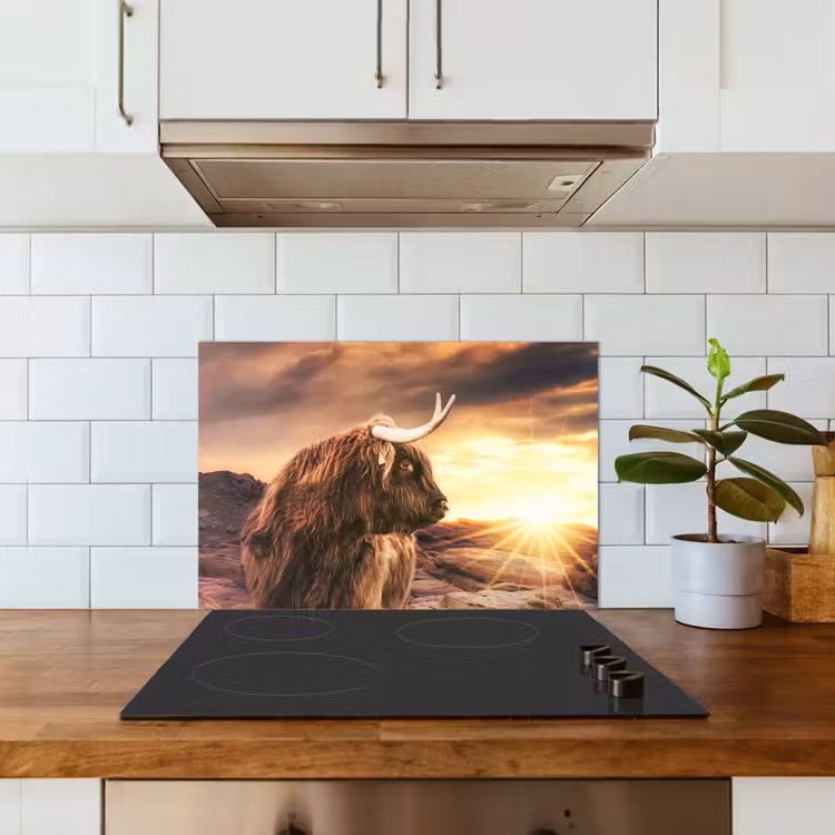 Spatscherm keuken - Schotse hooglander - Zon - Horizon - Koe - Dieren — 6