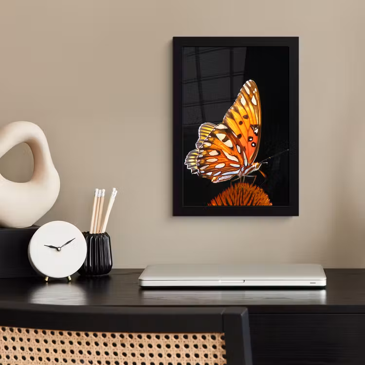 Poster met lijst - Vlinder - Bloemen - Insect - Portret - Zwart - Oranje — 2