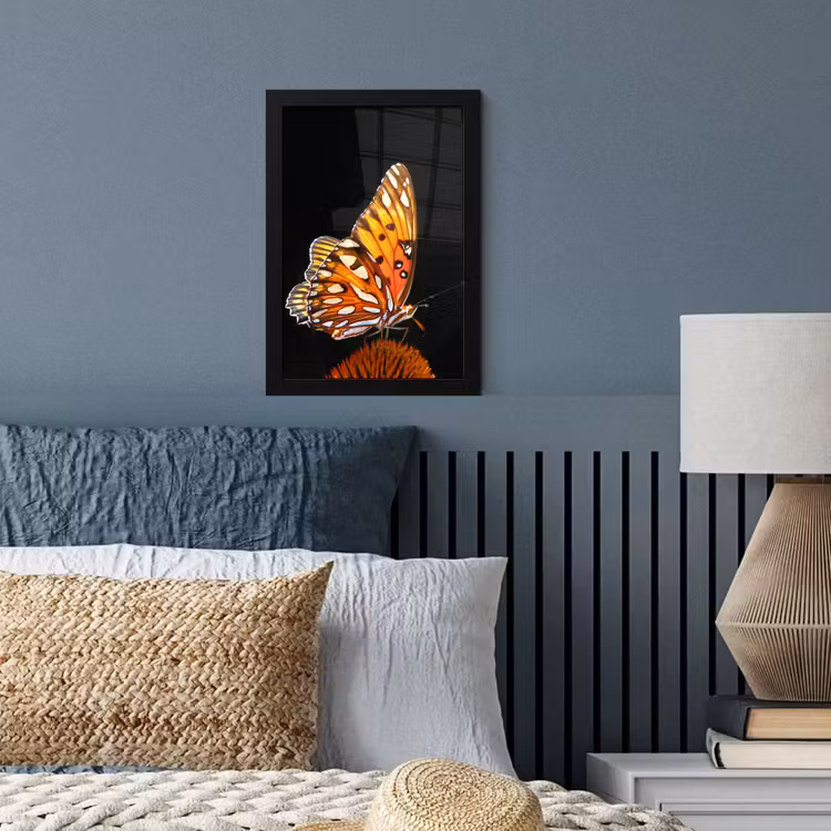 Poster met lijst - Vlinder - Bloemen - Insect - Portret - Zwart - Oranje — 3