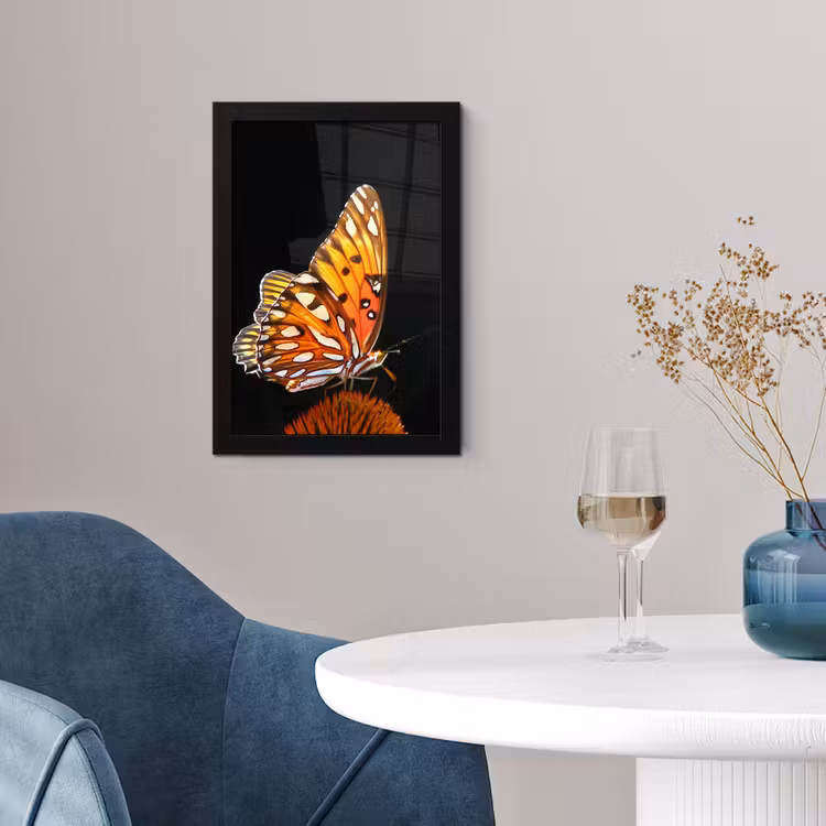 Poster met lijst - Vlinder - Bloemen - Insect - Portret - Zwart - Oranje — 4
