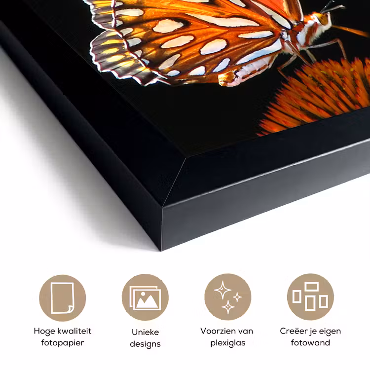 Poster met lijst - Vlinder - Bloemen - Insect - Portret - Zwart - Oranje — 6