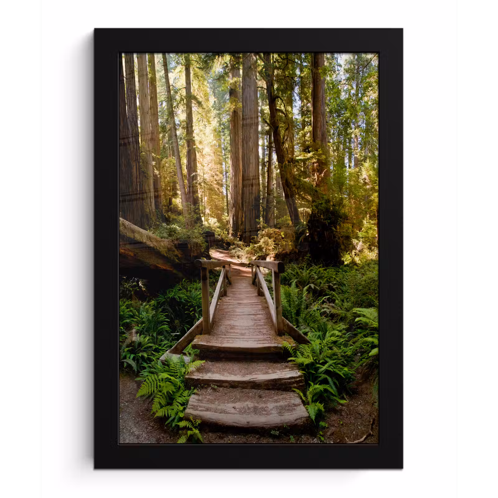 Poster met lijst - Jungle - Natuur - Trap - Bomen — 1