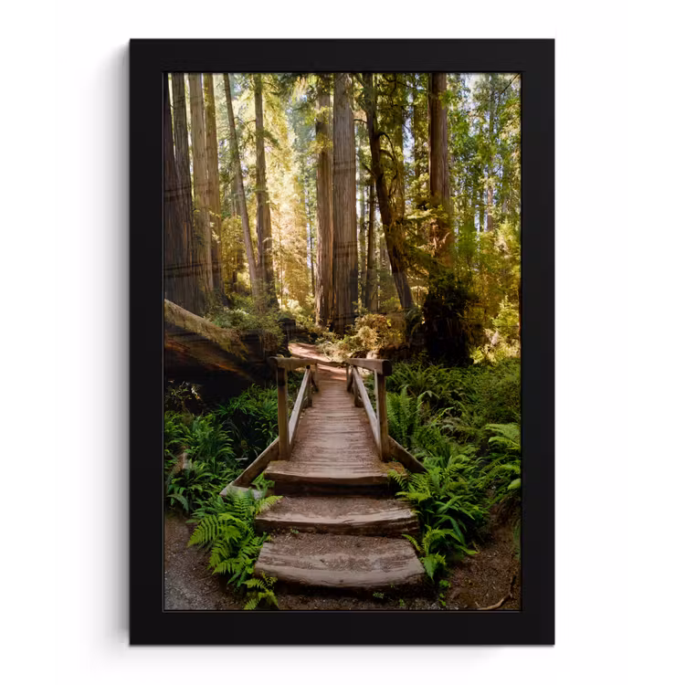 Poster met lijst - Jungle - Natuur - Trap - Bomen — 1