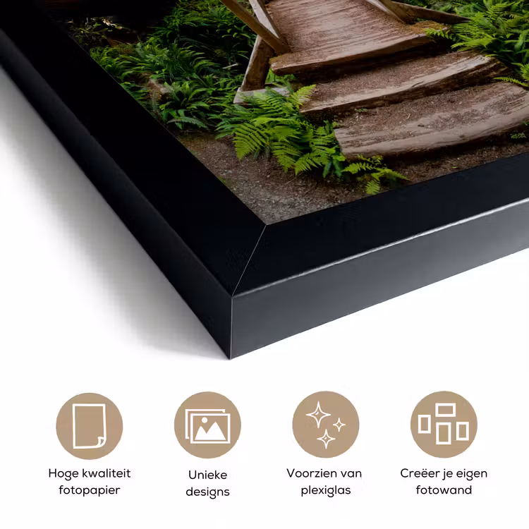 Poster met lijst - Jungle - Natuur - Trap - Bomen — 6