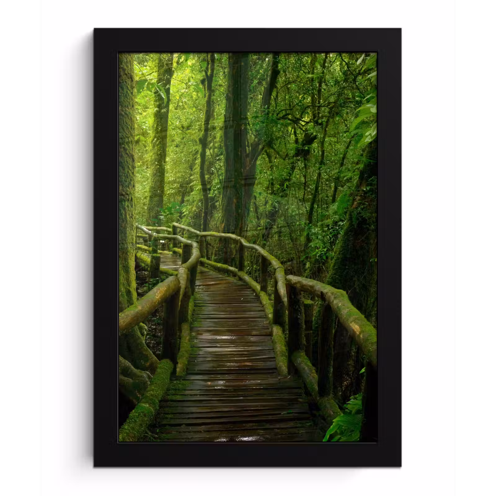 Poster met lijst - Jungle - Brug - Mos - Natuur - Tropisch — 1