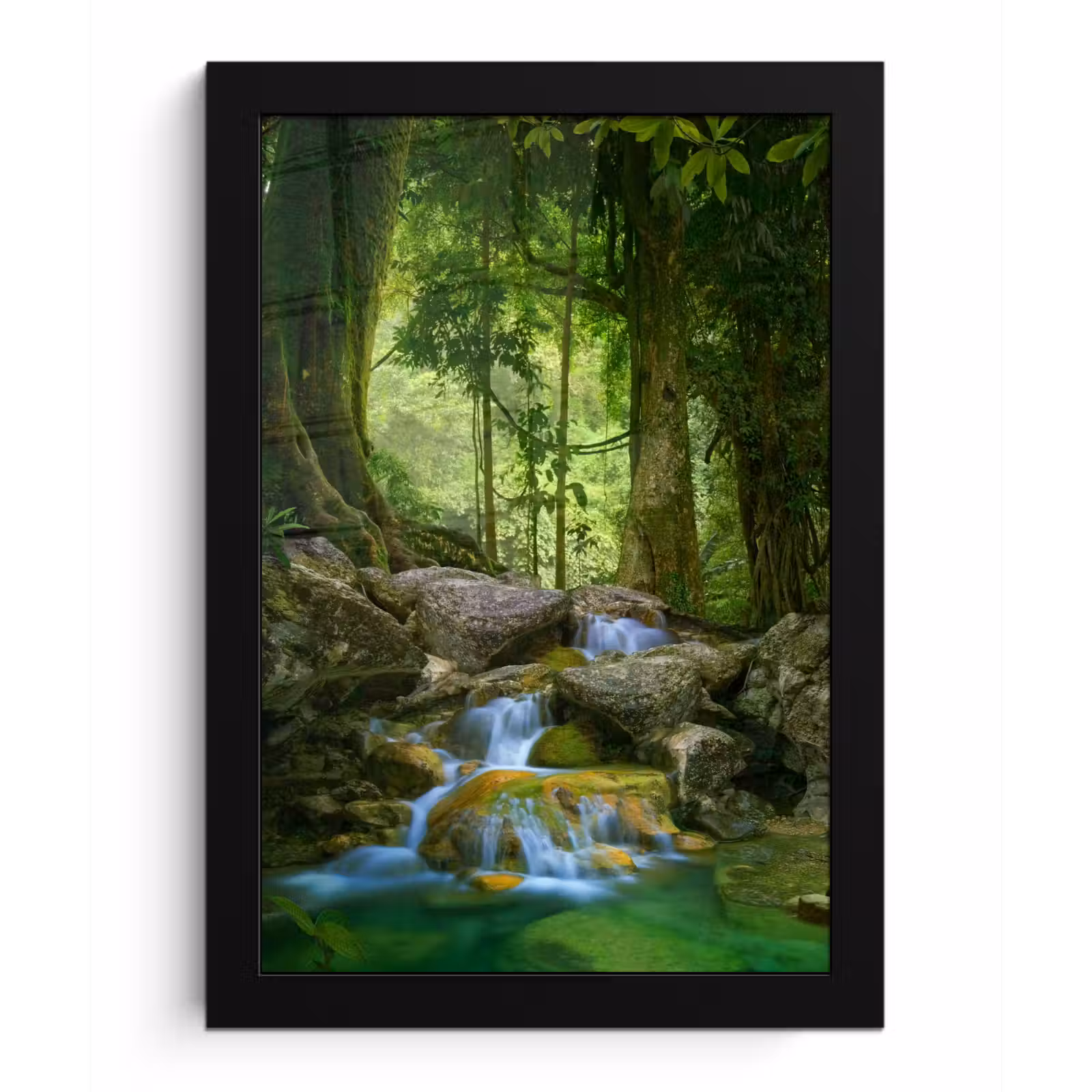 Poster met lijst - Jungle - Stenen - Water - Natuur - Planten — 1