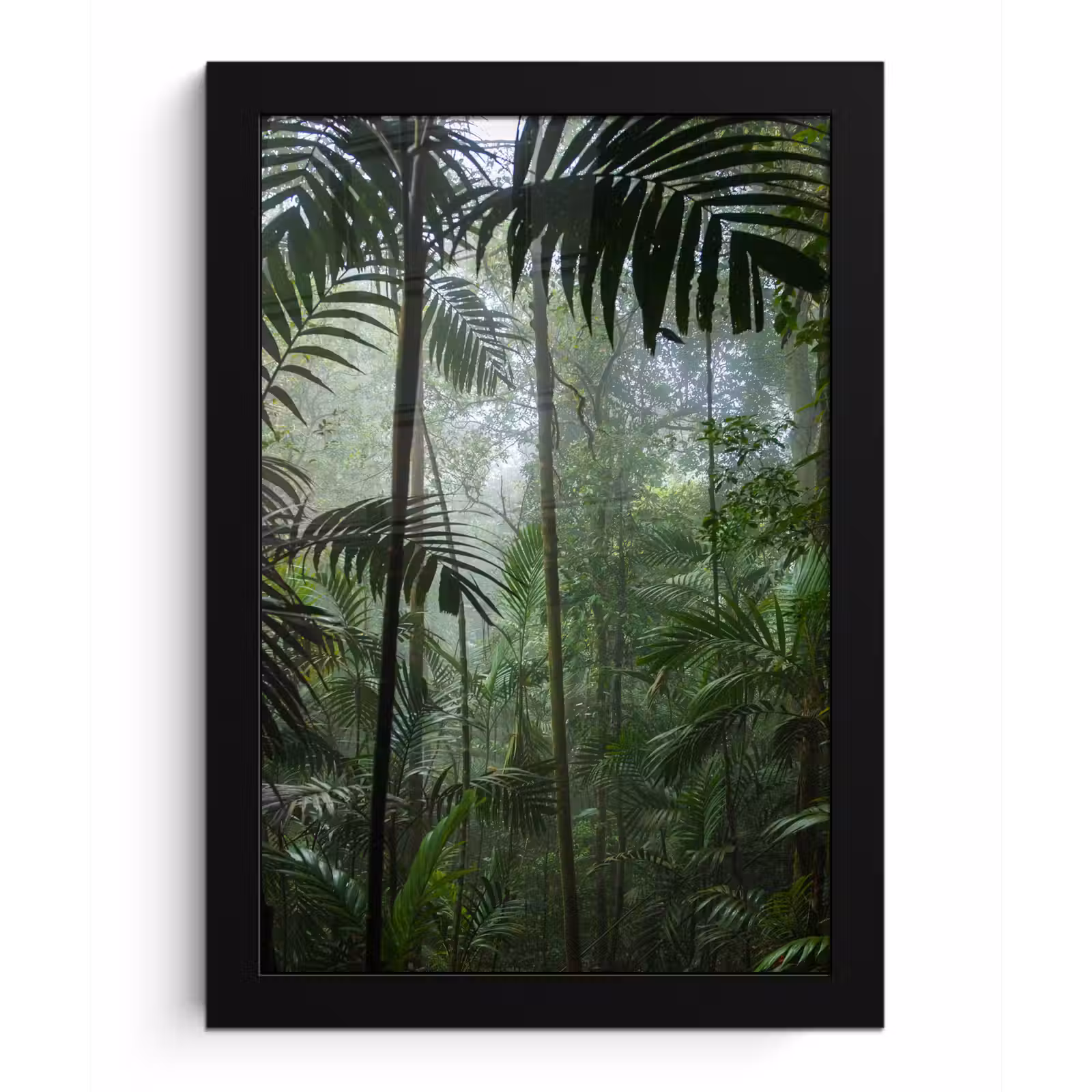 Poster met lijst - Regenwoud - Tropisch - Jungle - Bomen - Planten — 1