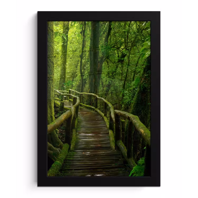 Poster met lijst - Jungle - Brug - Mos - Natuur - Tropisch — 1
