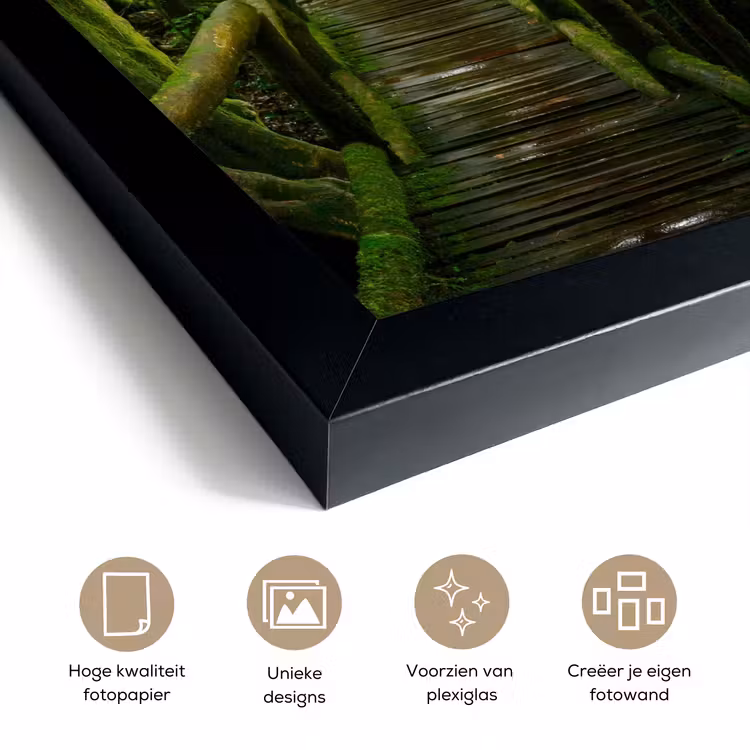 Poster met lijst - Jungle - Brug - Mos - Natuur - Tropisch — 6